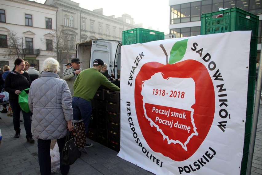 Wielu chętnych na darmowe jabłka w Lublinie. Owoce rozeszły się w ekspresowym tempie