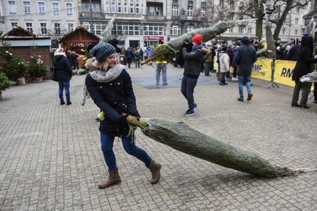 Choinki na placu Wolności