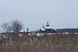 Tajemnicza śmierć tysięcy pszczół w skicie Odrynki