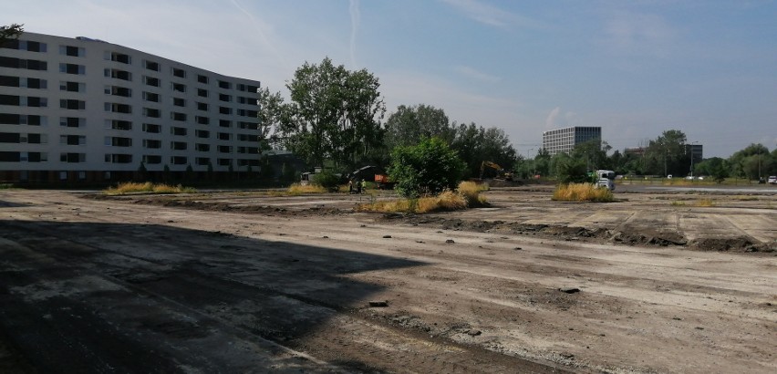 Budowa parku w Czyżynach i okoliczne tereny