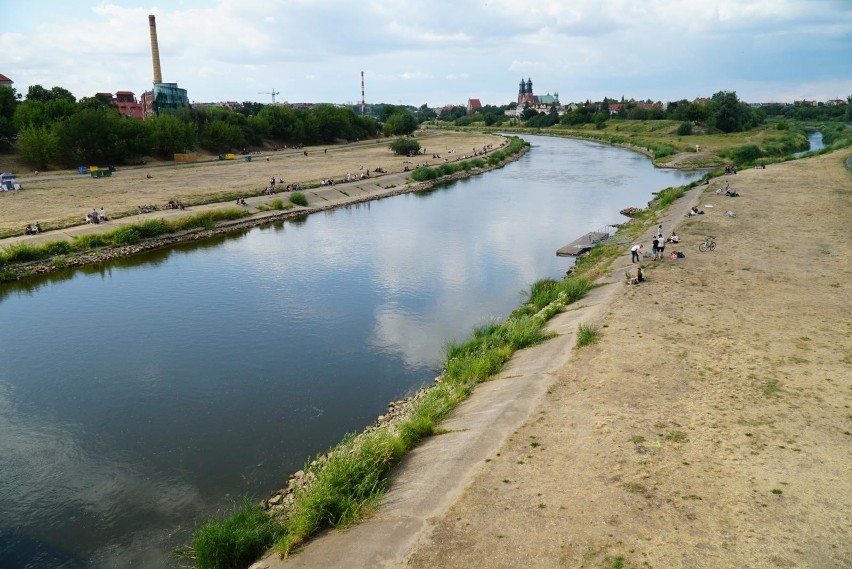 Zdaniem poznańskiego magistratu już można kosić trawę....