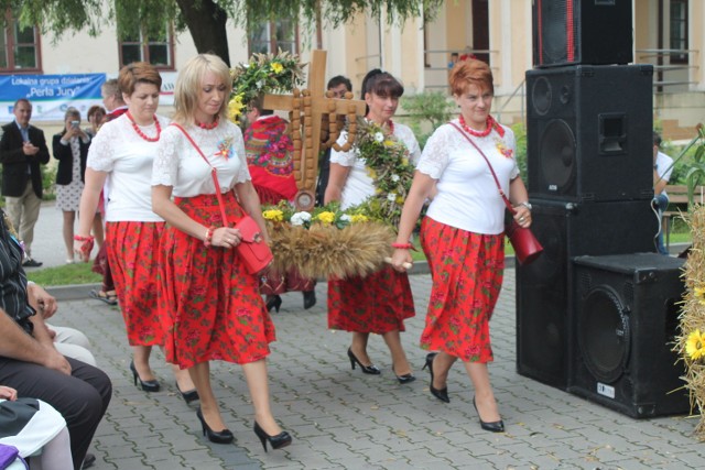 Mieszkańcy Irządz będą bawić się na Święcie Porzeczki