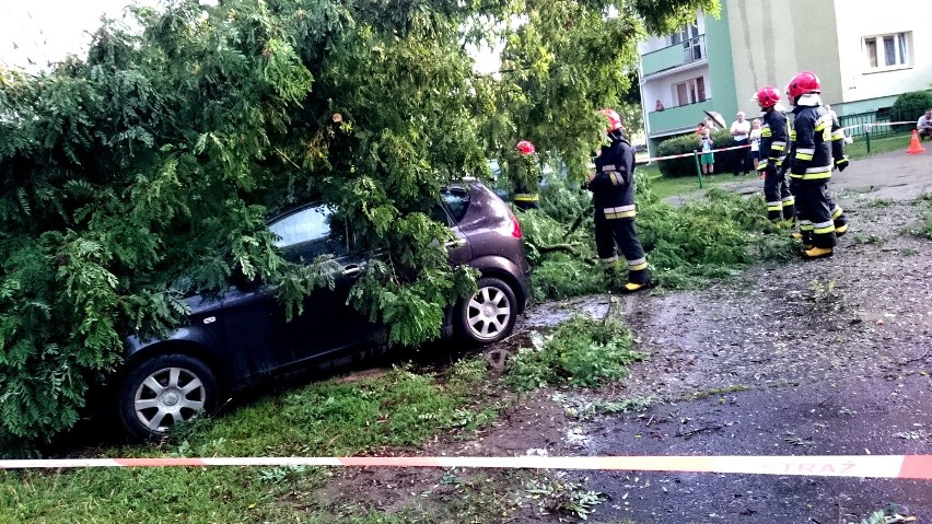 Bydgoszcz. Drzewo przewróciło się na auta przy Baczyńskiego