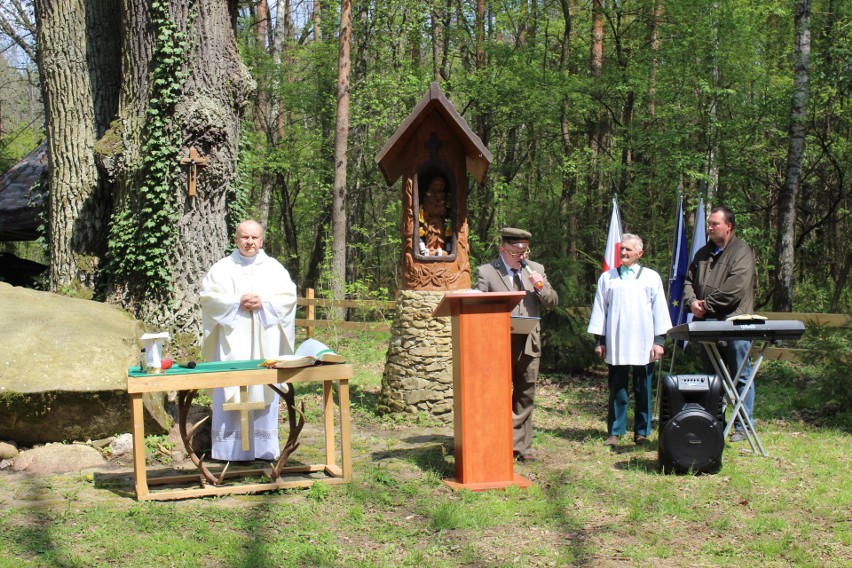 Powstańcza bitwa pod Jeziórkiem upamiętniona. Jedno z drzew nosi nazwę "Dionizy Czachowski" 