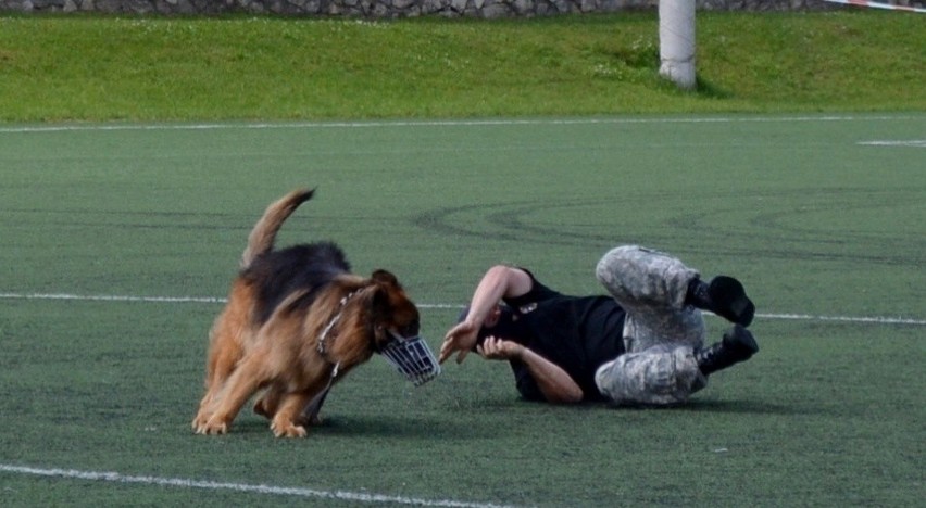 Święto Policji Będzin 2014