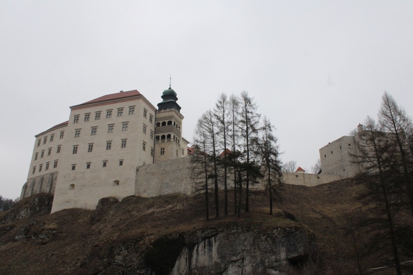 Zamek w Pieskowej Skale