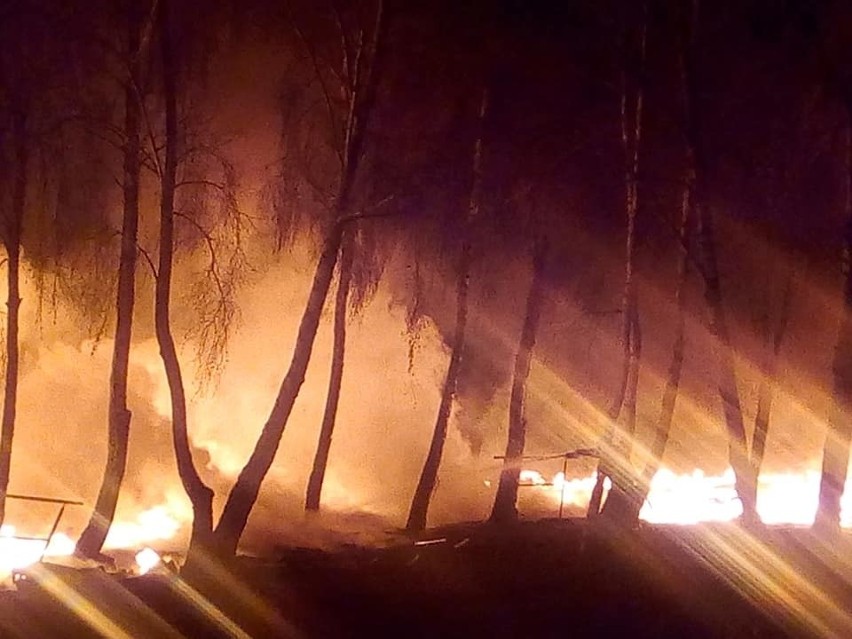 Pożar w Trzebieży. Spłonęły pomosty, które były atrakcją miejscowości [ZDJĘCIA]