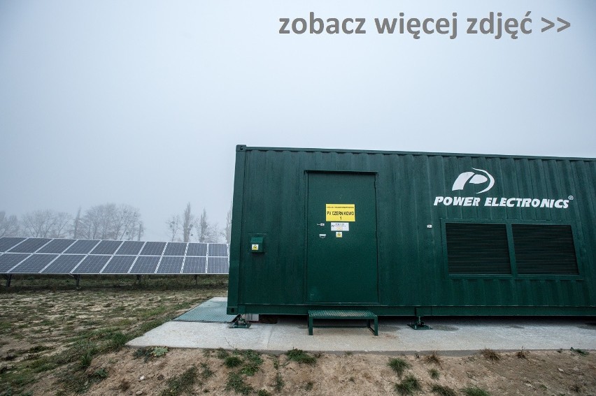 Czernikowo zaopatruje Polskę w prąd. Pole paneli słonecznych [wideo, zdjęcia]