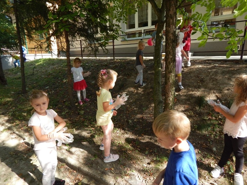Przysuskie przedszkolaki pokazały, jak należy dbać o środowisko naturalne. Sadziły drzewka i dbały o zieleń
