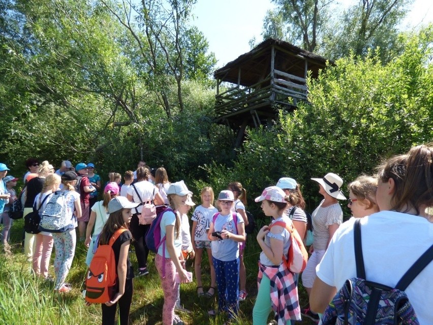 Uczniowie Zespołu Szkół w Radomicach uczestniczyli w wakacyjnych warsztatach ekologicznych [zdjęcia] 