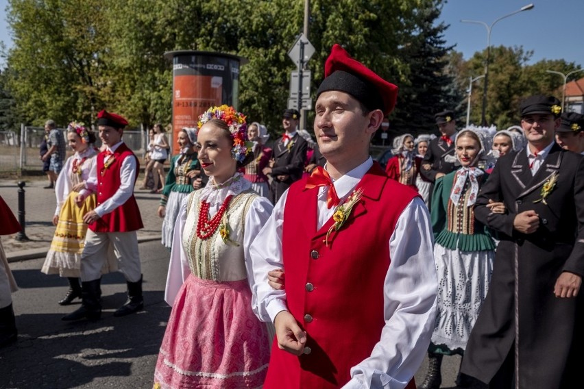 W parku Wilsona w Poznaniu odbywają się w sobotę 25. Dożynki...