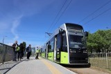 Gorzów: powalone drzewo uszkodziło trakcję tramwajową. Uruchomiono komunikację zastępczą 