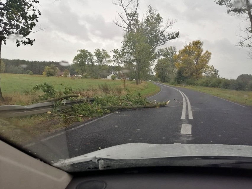 Ze względu na wichurę najlepiej nie wychodzić z domu