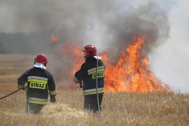 Sytuacja jest już opanowana, w tej chwili trwa dogaszanie ognia. Pożar zajął około 10 hektarów pola.