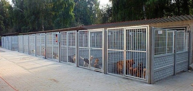 Mieszkańcy Lubonia chcieliby, by w ich mieście stanęły klatki dla bezpańskich zwierząt, które uciekły swoim właścicielom