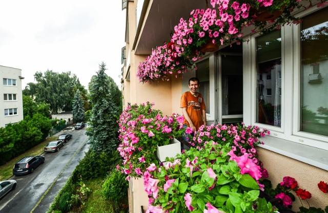 - Dobrze pamiętam czasy dzieciństwa spędzone na działce. Dziadek znał się na kwiatach. Opowiadał mi o nich, uczył, jak je sadzić, pielęgnować - wspomina pan Marcin Ciesielski z bydgoskich Bartodziejów. .