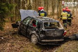 Wypadek Ełk - Regielnica. Pijany wjechał do rowu [zdjęcia]