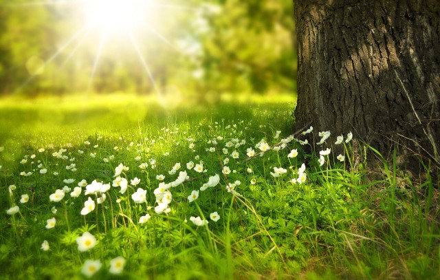 Amerykańcy meteorolodzy z popularnego serwisu pogodowego AccuWeather zaprezentowali pierwsze prognozy na najbliższe trzy miesiące. Jaka wiosna będzie w tym roku? Czy mogą pojawić się przymrozki, czy też będzie wyjątkowo ciepło? Szczegóły dla naszego regionu znajdziesz na następnych slajdachZobacz zdjęcia: Seria niezwykłych zjawisk na lubuskim niebiePolecamy wideo: Zapierający dech w piersiach ujęcia zorzy polarnejwideo: STORYFUL