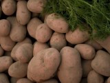 10 lat więzienia za kradzież ziemniaków