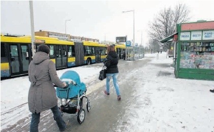 Zarząd Infrastruktury Miejskiej nie wyklucza, że w tym roku poprowadzi chodnik między ścieżkami a rzędem drzew, tak by piesi nie musieli w dwóch miejscach przecinać ścieżki rowerowej.