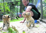 ZOO potrzebuje 2 mln zł dla kotów