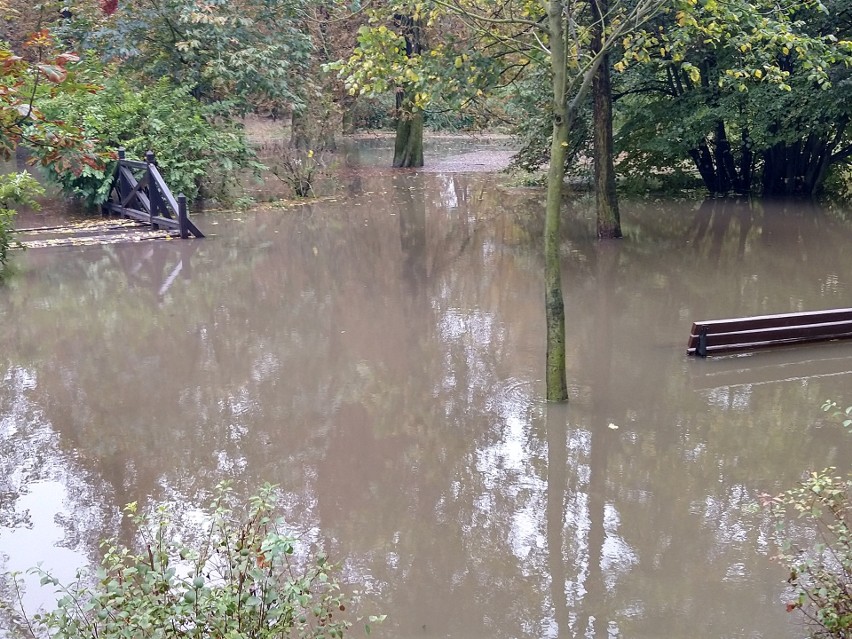 Woda, która nie zmieściła się w stawku, zalała park na...