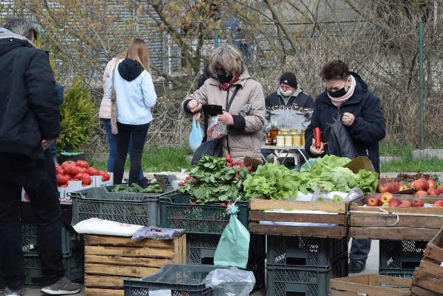 W środę, 21 kwietnia na targu w Opatowie był wielki wybór owoców i warzyw. Pojawiła się młoda kapusta. Utrzymuje się niska cena jabłek, większość odmian po 2 złote za kilogram. Drogie są pomidory i ogórki. Co jeszcze staniało a co zdrożało?Zobaczcie ceny w środę, 21 kwietnia na targu w Opatowie