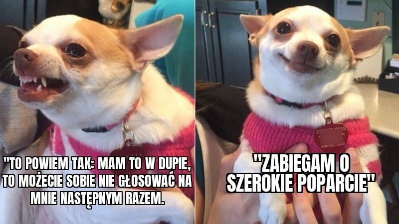 Nowe MEMY o Wrocławiu: Sutryk, Jagodno i MBA. Z tego śmieją się internauci. Zobaczcie!