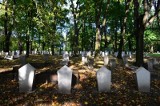 Poznań: Groby bohaterów powstania styczniowego będą odnowione [ZDJĘCIA]