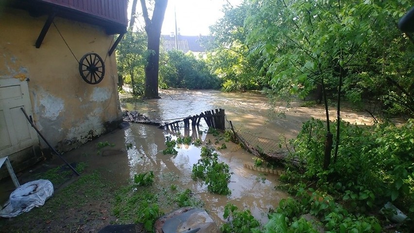 Dolny Śląsk: Domy i gospodarstwa zalane po burzach (ZDJĘCIA, OSTRZEŻENIE)
