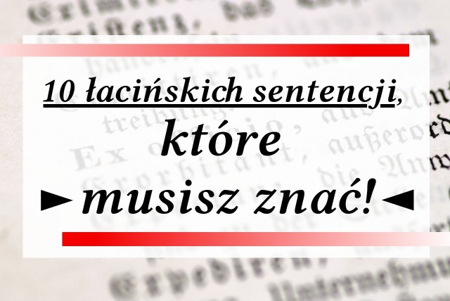 Język łaciński, chociaż jest już językiem martwym, wciąż nie jest zapomnianym. W nasze wypowiedzi wielokrotnie wplatamy łacińskie sentencje, które nie straciły swej mądrości mimo upływu czasu. Prezentujemy subiektywne zestawienie 10 łacińskich zwrotów, słów i powiedzeń, które warto znać.