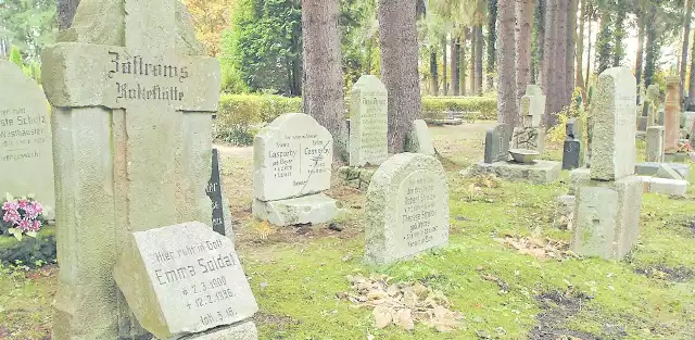 Lapidarium na cmentarzu komunalnym w Koszalinie. Powstało kilka lat temu i składa się z kilkudziesięciu fragmentów starych nagrobków, głównie z nieistniejącego już cmentarza w parku przy Koszalińskiej Bibliotece Publicznej.