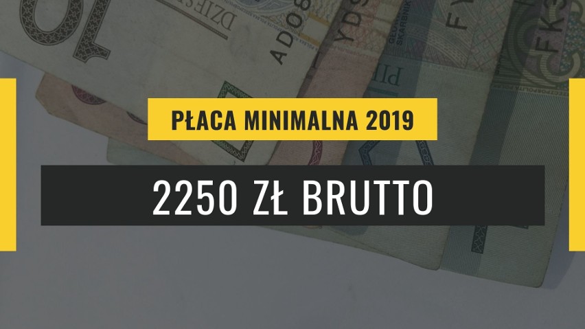 Płaca minimalna 2021 w górę? Ile otrzymają Polacy, którzy zarabiają najniższą krajową? Jaka jest płaca minimalna w Niemczech i w Kalifonii?