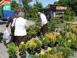Gratka dla działkowców: wiosenny kiermasz ogrodniczy w Grudziądzu