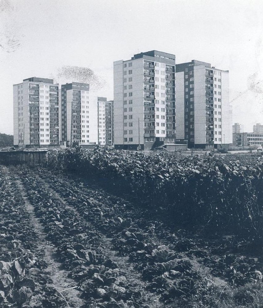 Osiedle Kozanów rok 1984