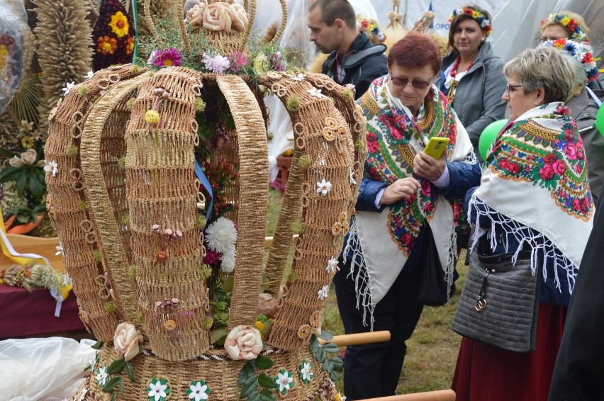 Wojewódzkie dożynki w Namysłowie