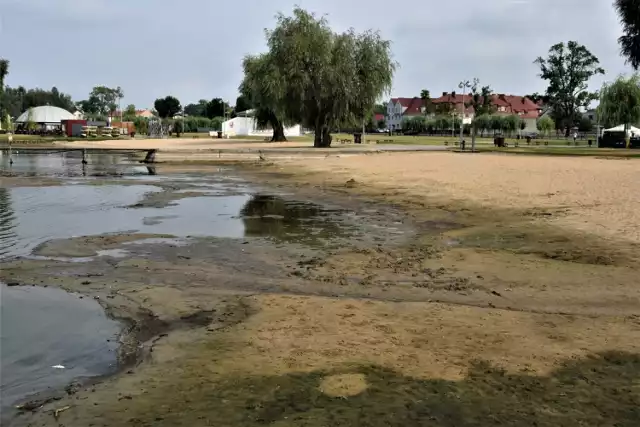 Na rzekach i akwenach w Wielkopolsce obserwowane są spadki poziomu wody. Dzieje się tak m.in. na rzece Obrze i w jeziorze Błędno w Zbąszyniu.Kolejne zdjęcie --->