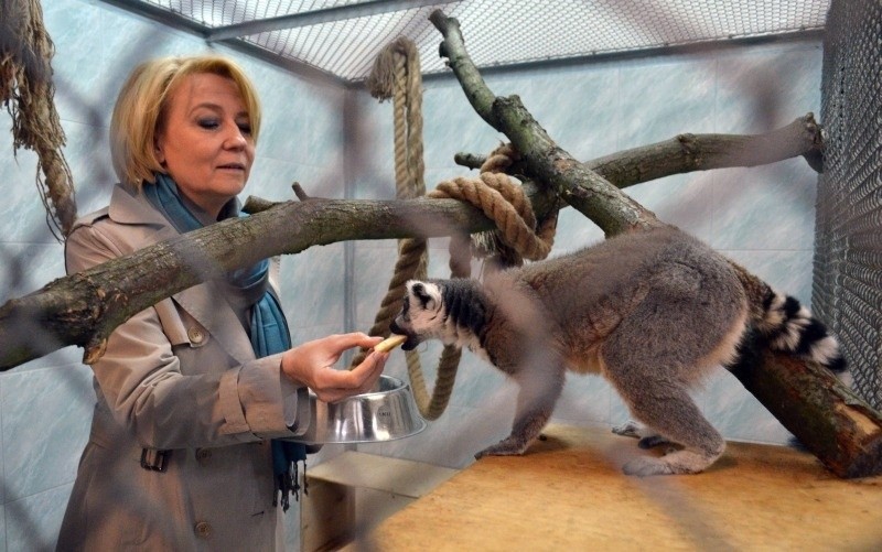 Hanna Zdanowska z wizytą w zoo