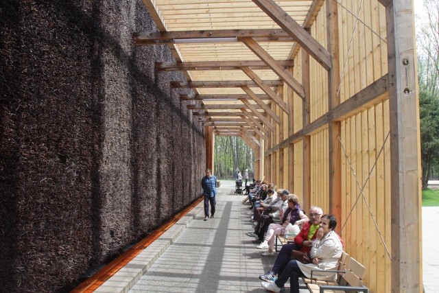 Tężnia solankowa w Parku Zadole, to jeden z projektów zrealizowanych w ramach poprzednich edycji Budżetu Obywatelskiego w Katowicach