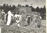 Tej wsi już nie ma. Poznajcie Zalesin, zapomnianą osadę koło Ustki [ZDJĘCIA]