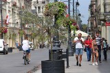 Wierzby purpurowe stanęły w donicach na ulicy Piotrkowskiej. Na plac Dąbrowskiego donice nie wrócą  