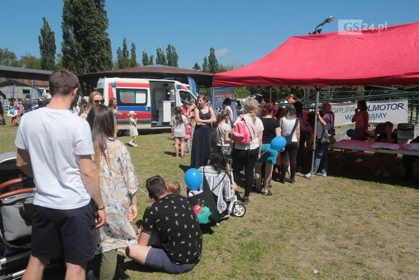 Dzień Dziecka w Stajni Akademickiego Ośrodka Jeździeckiego ZUT w Szczecinie. Zobacz, jakie atrakcje czekają najmłodszych