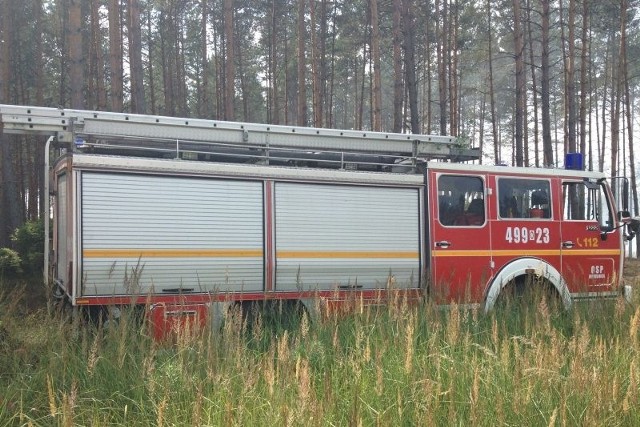 Zaginionych grzybiarzy, oprócz policjantów, szukają też strażacy.