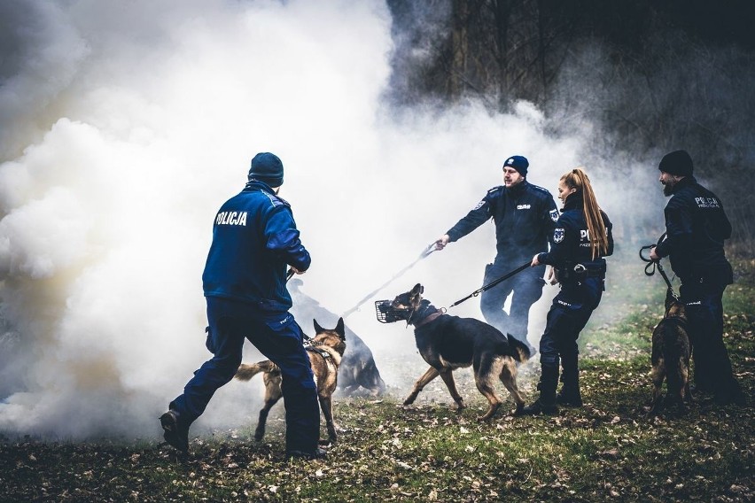 Szkolenie policyjnych psów patrolowo - tropiących odbyło się...