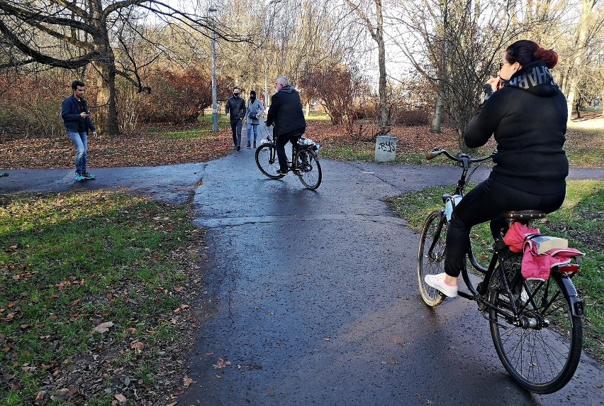 Kraków. Park Lotników Polskich zachwyca jesienią i przyciąga spacerowiczów [ZDJĘCIA] 