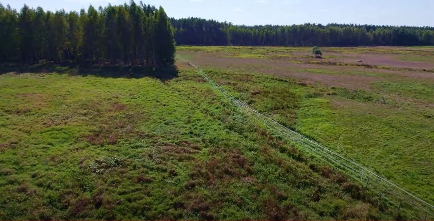 Długość nowego ogrodzenie to około 1,5 km