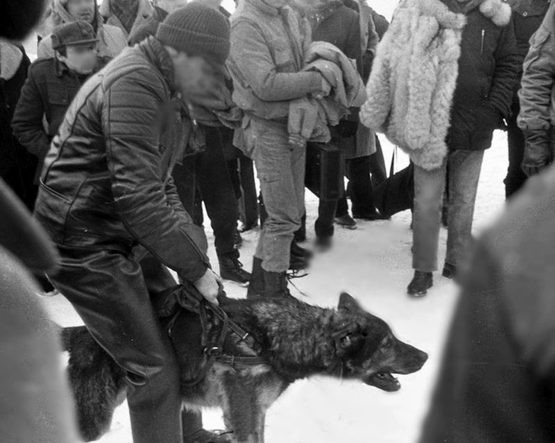 Początek lat 90. ubiegłego wieku był  prawdziwym rajem dla...