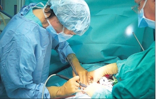 Teraz metodą laparoskopową przeprowadzane będą w szpitalu wojewódzkim już wszystkie przeszczepy rodzinne. Tak jest od kilku lat w szpitalu na Pomorzanach. W Polsce prawdopodobnie działa tak tylko jeszczeośrodek w Warszawie.