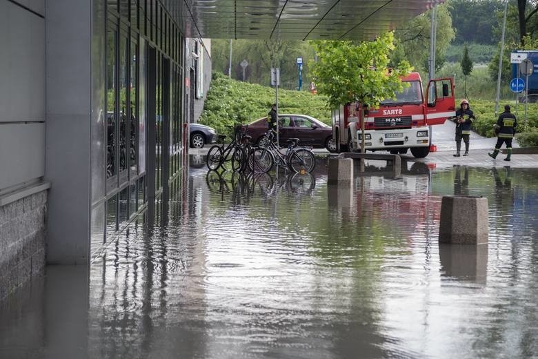 Kraków. Recepta na zmiany klimatu? Nowa miejska jednostka. Na jej czele były radny Platformy Obywatelskiej