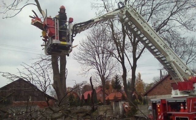 Chroberz. Śmierć na drzewie. Dramat podczas ścinania gałęzi